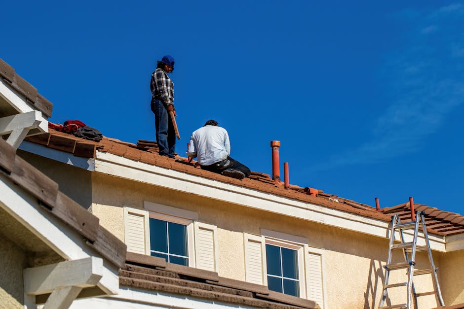 promieo roofing service preview