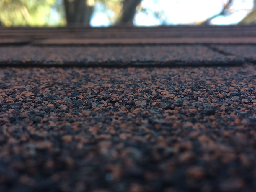 promieo roofing team and workmanship preview